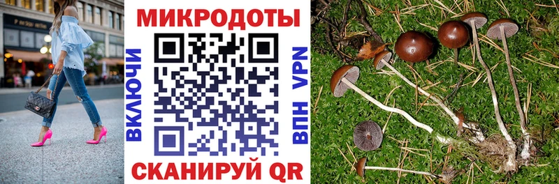 Галлюциногенные грибы Psilocybine cubensis  купить закладку  shop как зайти  Певек 