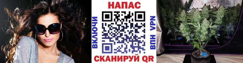 darknet какой сайт  Певек  Бошки марихуана OG Kush 
